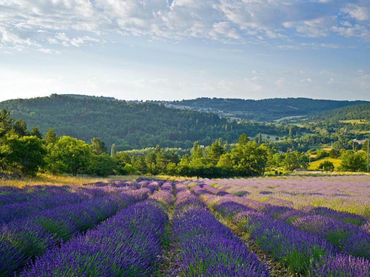 Le Jas De Verdolier Sault-de-Vaucluse Zewnętrze zdjęcie