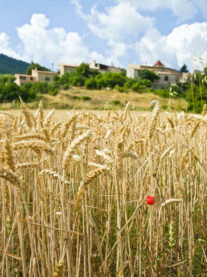 Le Jas De Verdolier Sault-de-Vaucluse Zewnętrze zdjęcie
