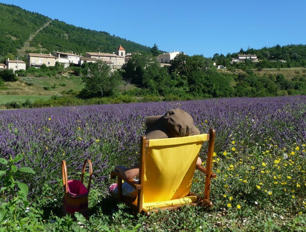 Le Jas De Verdolier Sault-de-Vaucluse Zewnętrze zdjęcie